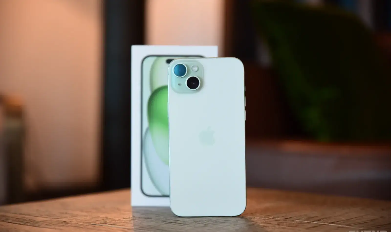 iPhone 15 Plus