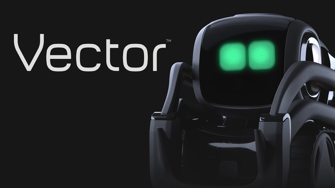 Vector Robot