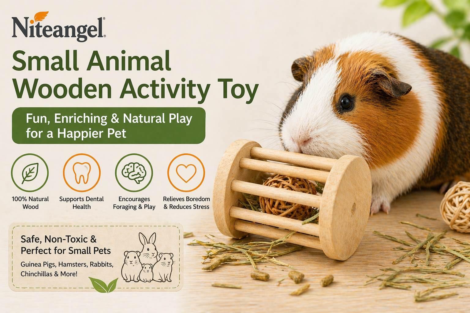 guinea pig