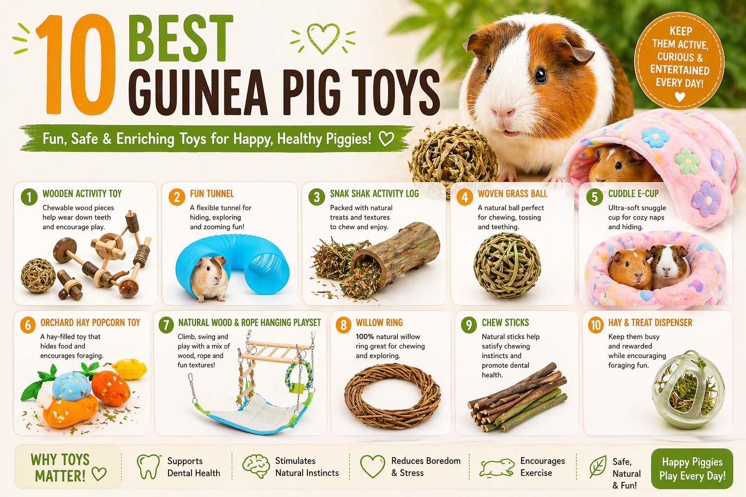 10 Best Guinea Pig Toys: Ultimate Fun Guide to Safe Store‑Bought & Homemade Enrichment